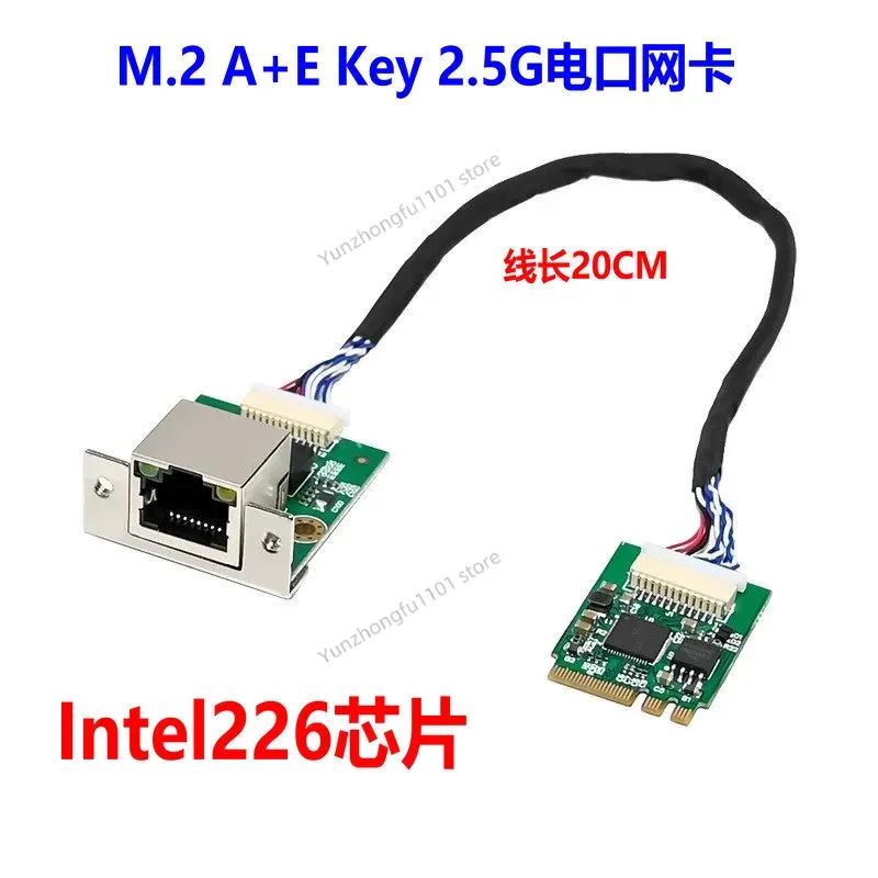 Kartu Jaringan Ethernet 2.5G P - Esports And Gaming Industry ulasan dan harga